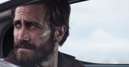 nocturnal-animals-facebook