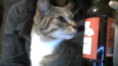 WIN_20170428_21_58_11_Pro